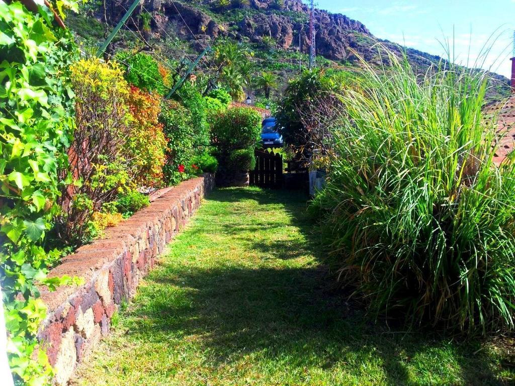 El Drago Rural House Guest House Alajero Phòng bức ảnh
